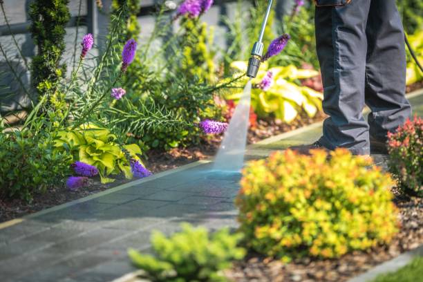 Best Winterizing Services  in Midland City, AL